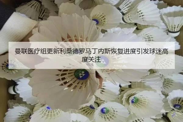 曼联医疗组更新利桑德罗马丁内斯恢复进度引发球迷高度关注
