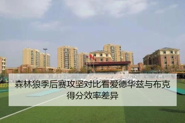 森林狼季后赛攻坚对比看爱德华兹与布克得分效率差异