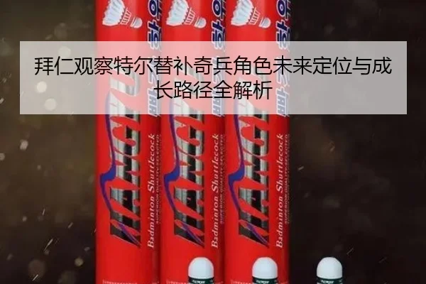 拜仁观察特尔替补奇兵角色未来定位与成长路径全解析