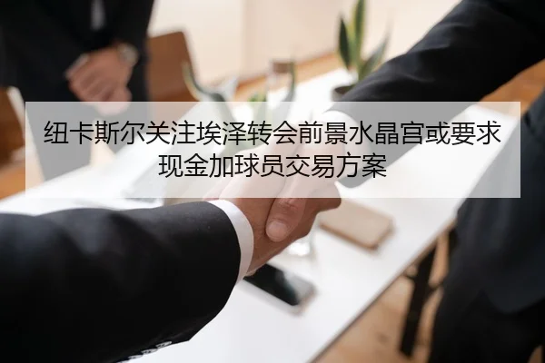 纽卡斯尔关注埃泽转会前景水晶宫或要求现金加球员交易方案